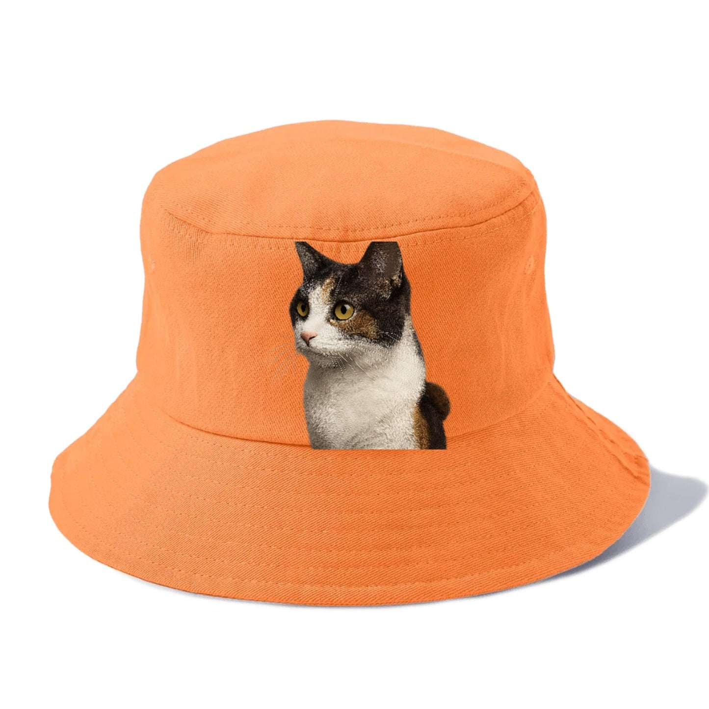 japanese-bobtail-playful-spirit Hat