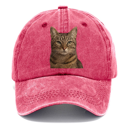 content-cat-curious-charm Hat