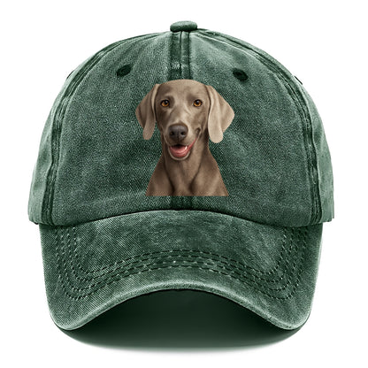 weimaraner portrait design Hat