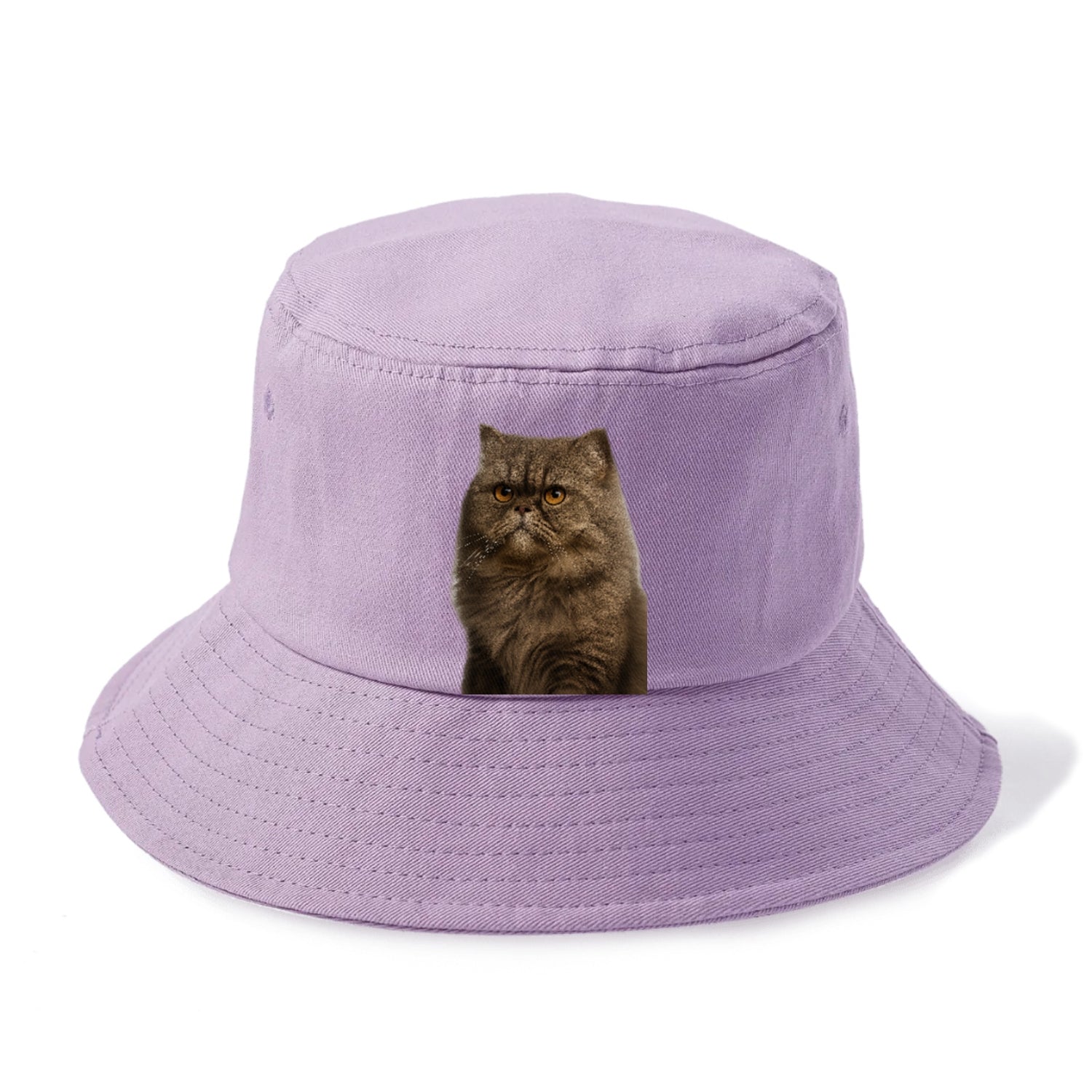 persian-cat-regal-elegance Hat