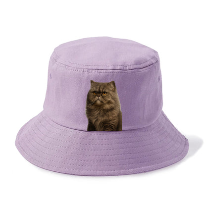 persian-cat-regal-elegance Hat