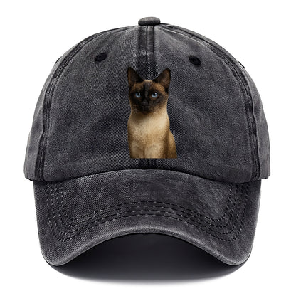 seal-point-siamese-mystical-charm Hat