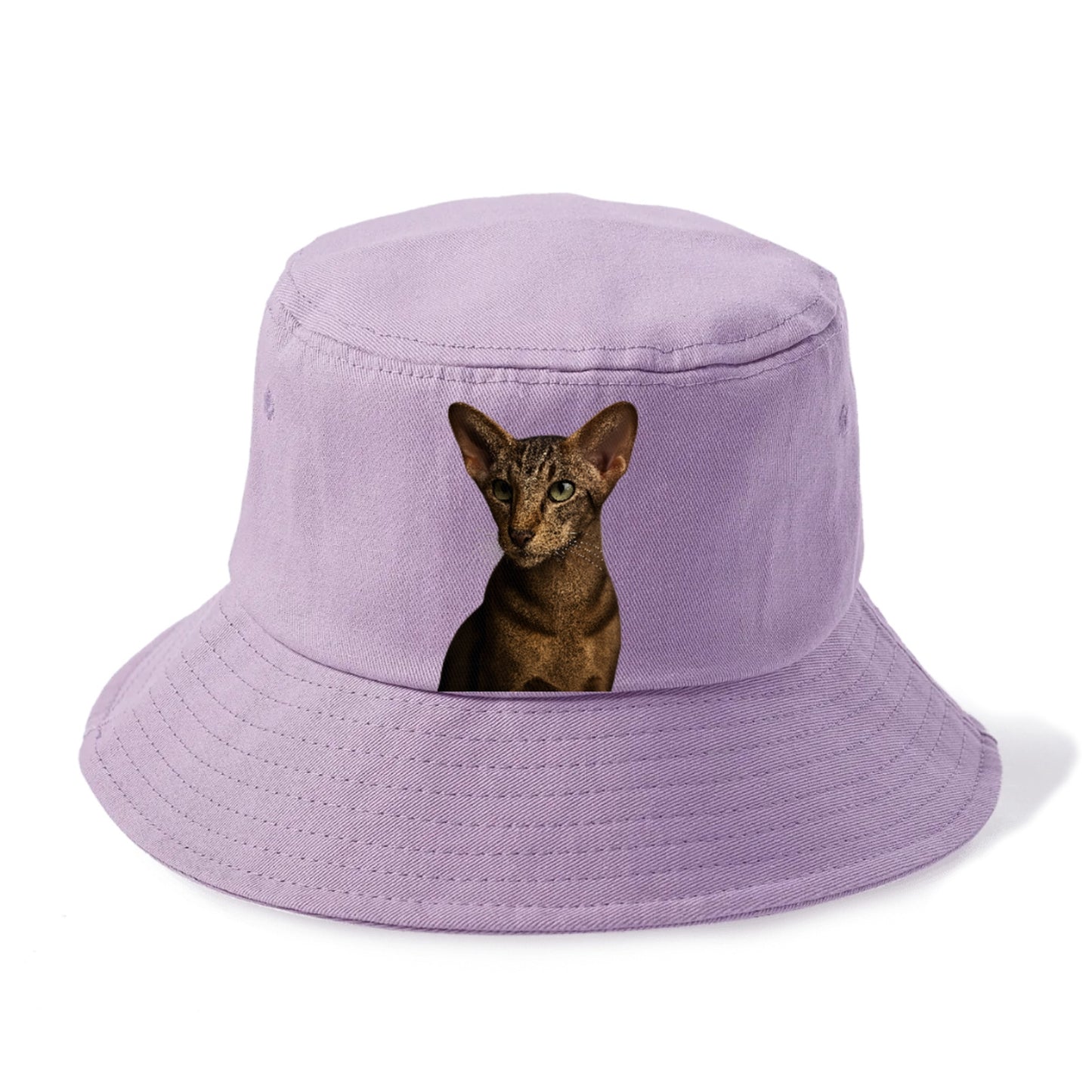 oriental-shorthair-sleek-charm Hat