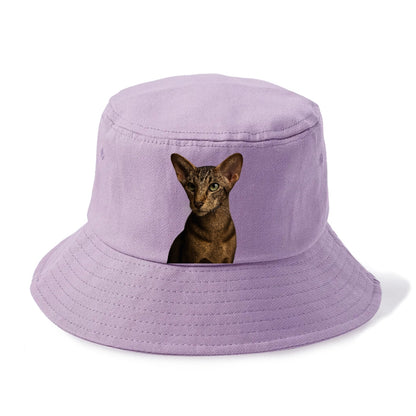 oriental-shorthair-sleek-charm Hat
