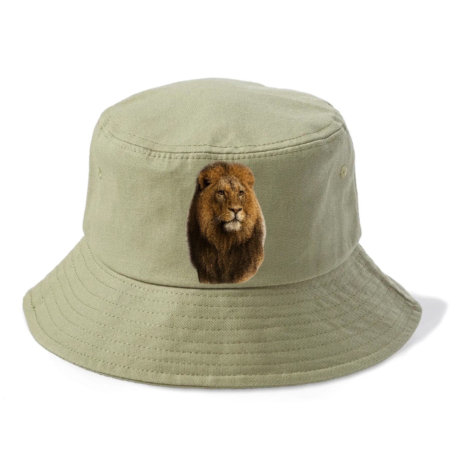 lion-regal-power Hat