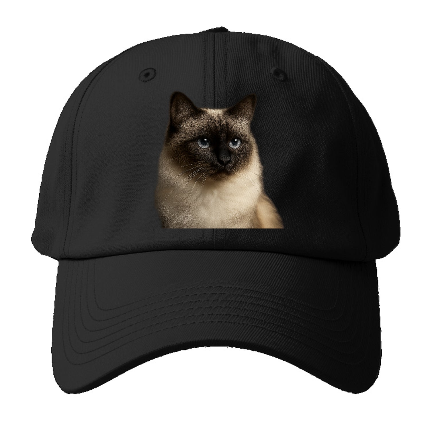 birman-cat-serene-elegance Hat