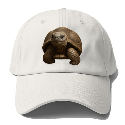 tortoise portrait design Hat