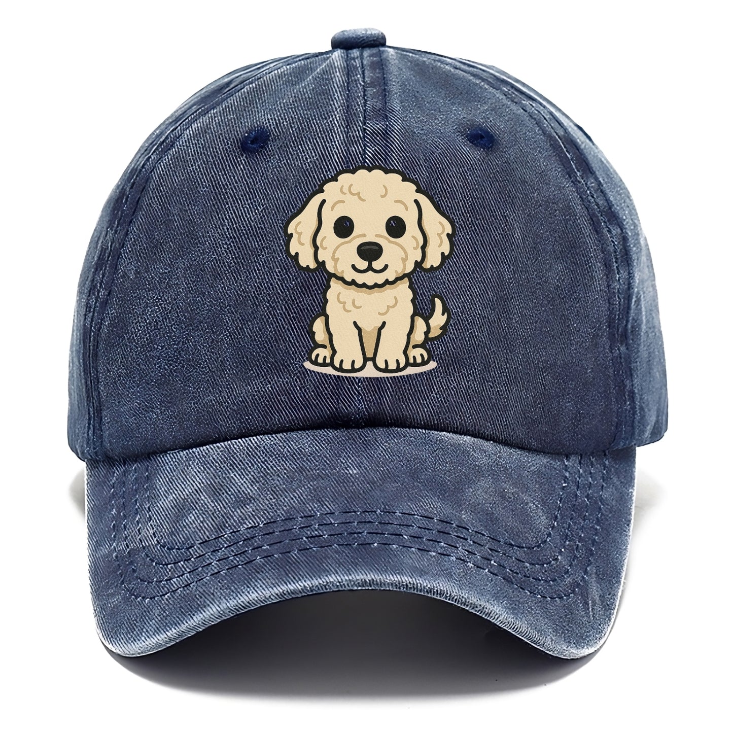 labradoodle curly cream sitting pose portrait design Hat