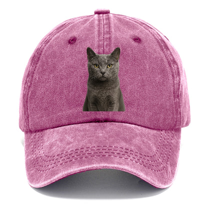 gray-cat-mysterious-charm Hat