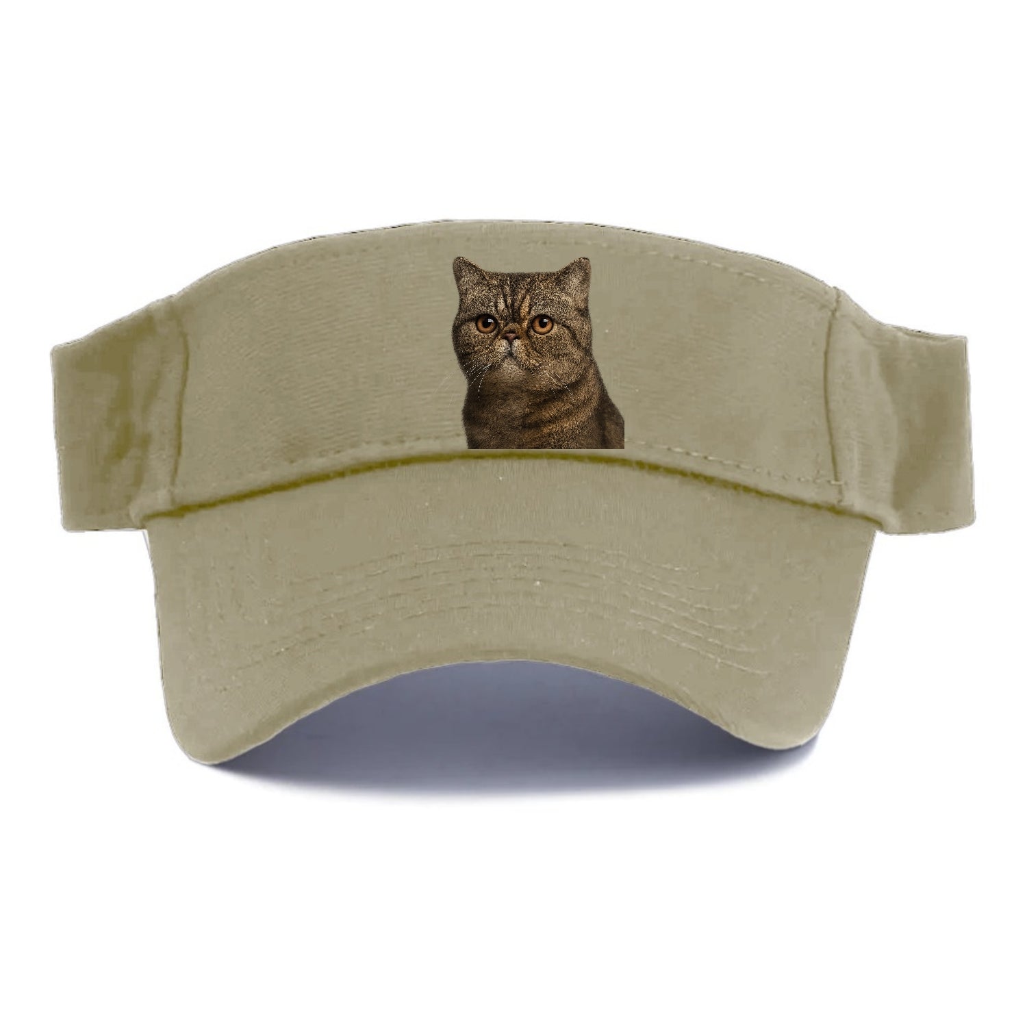 exotic-shorthair-calm-demeanor Hat