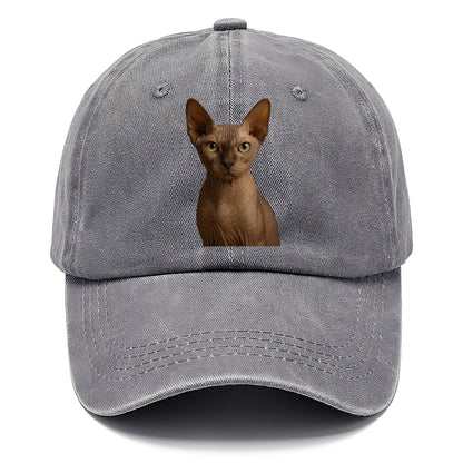 sphynx cat portrait design Hat