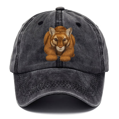 mountain lion's serene gaze Hat