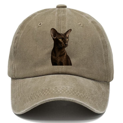 oriental-shorthair-sleek-chic Hat