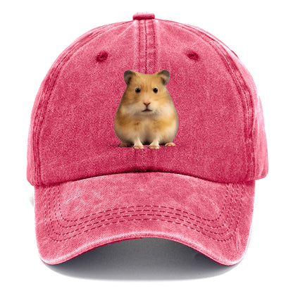 cute realistic hamster illustration portrait Hat