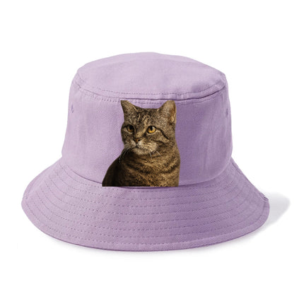 american-wirehair-unique-texture Hat