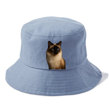 birman-gentle-charm Hat