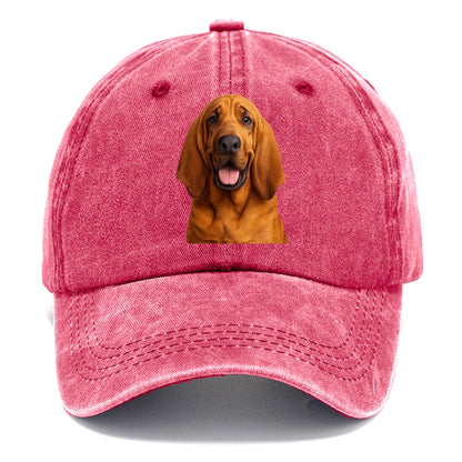 bloodhound: scent of nobility Hat