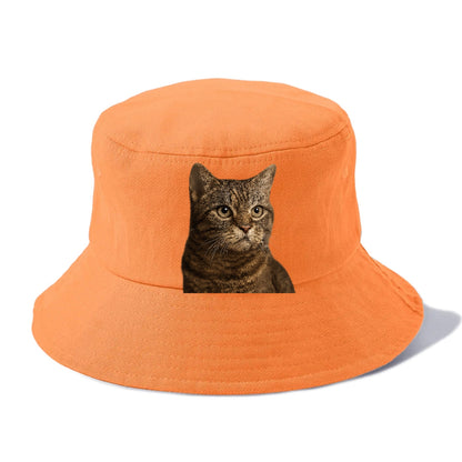 american-wirehair-textured-charm Hat