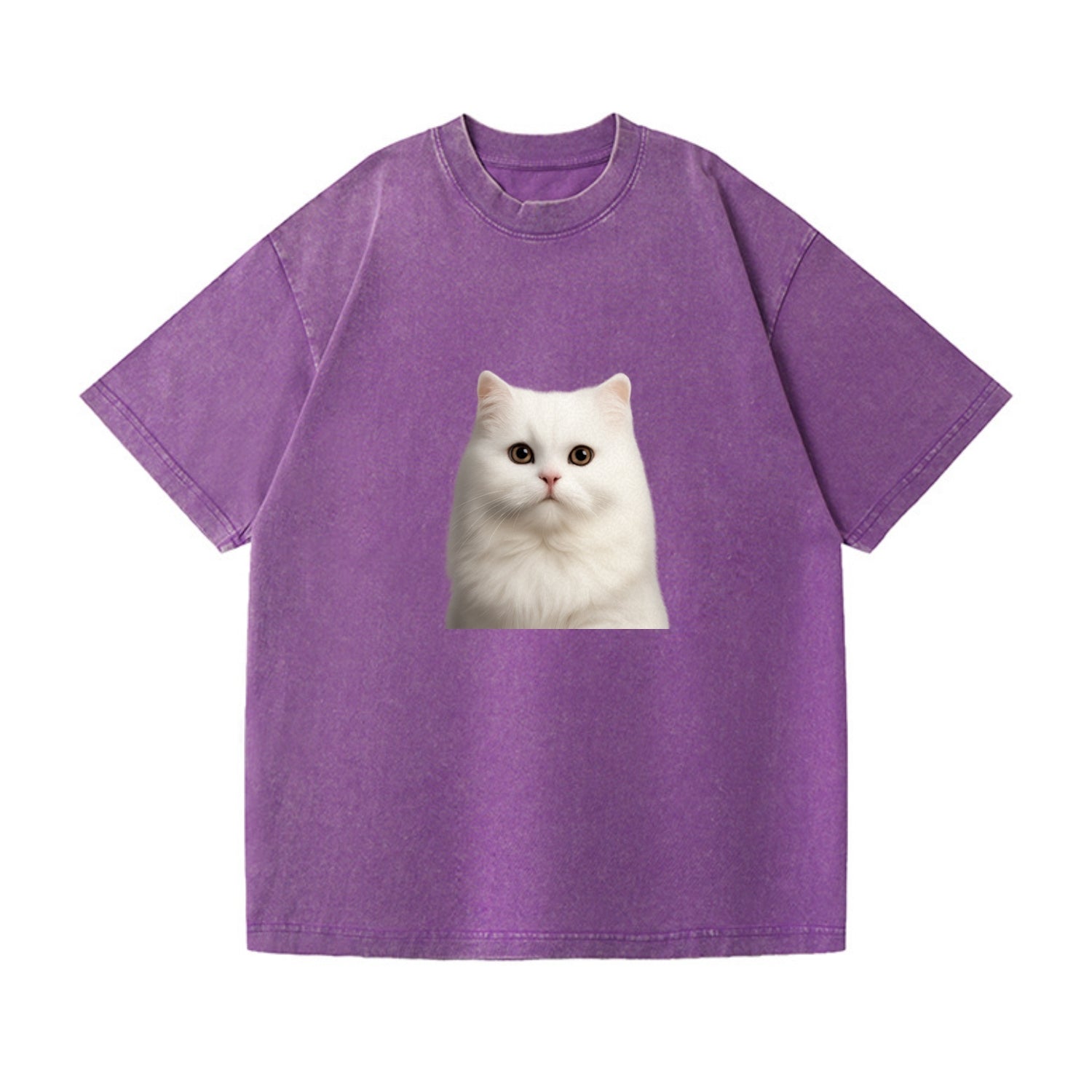 persian cat royal elegance Hat