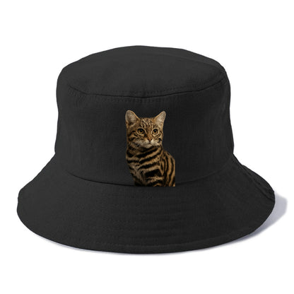 blackfooted-cat-elusive-hunter Hat
