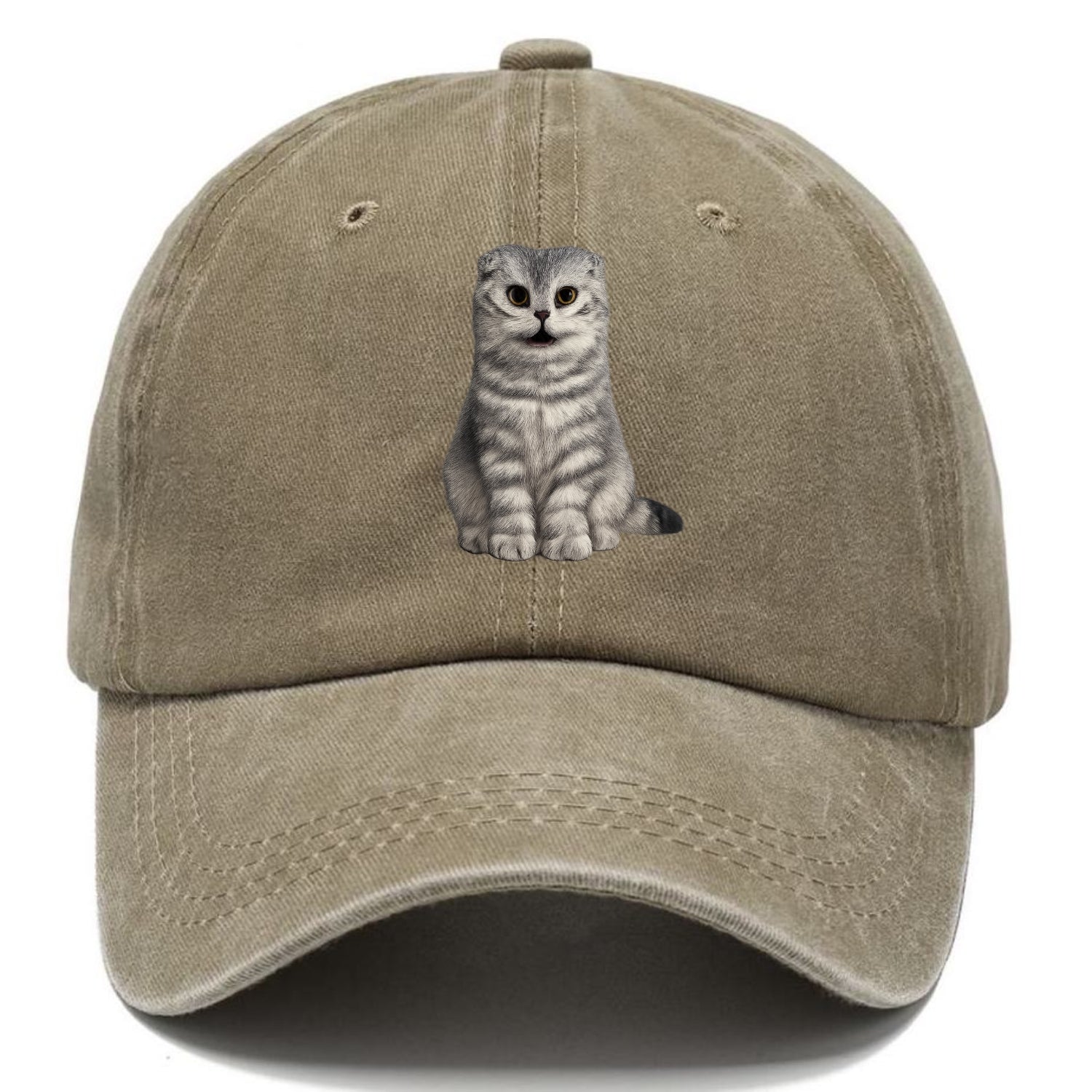 surprised striped cat whimsical portrait Hat
