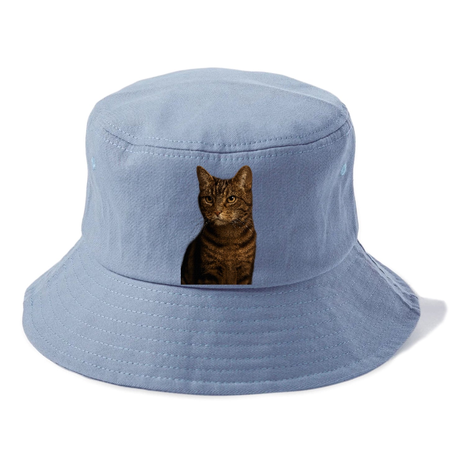 brown-tabby-cozy-charm Hat