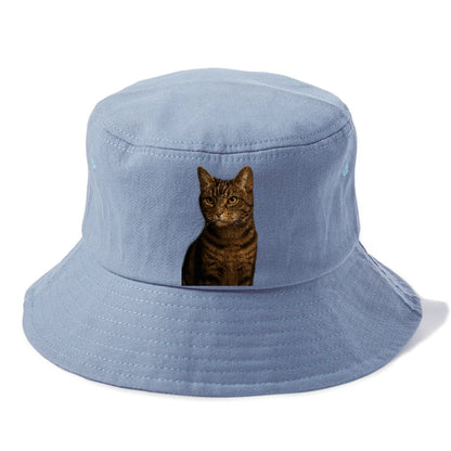 brown-tabby-cozy-charm Hat