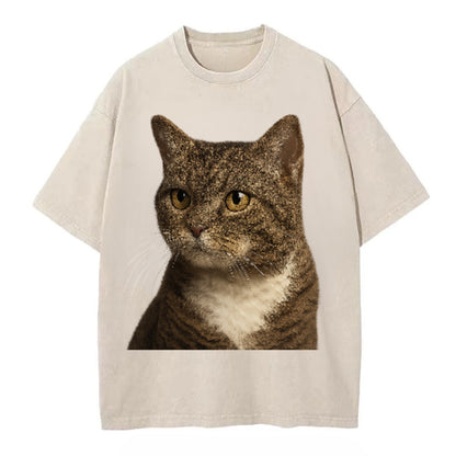 american-wirehair-unique-charm Hat