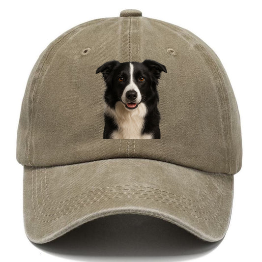 border collie intelligent companion Hat