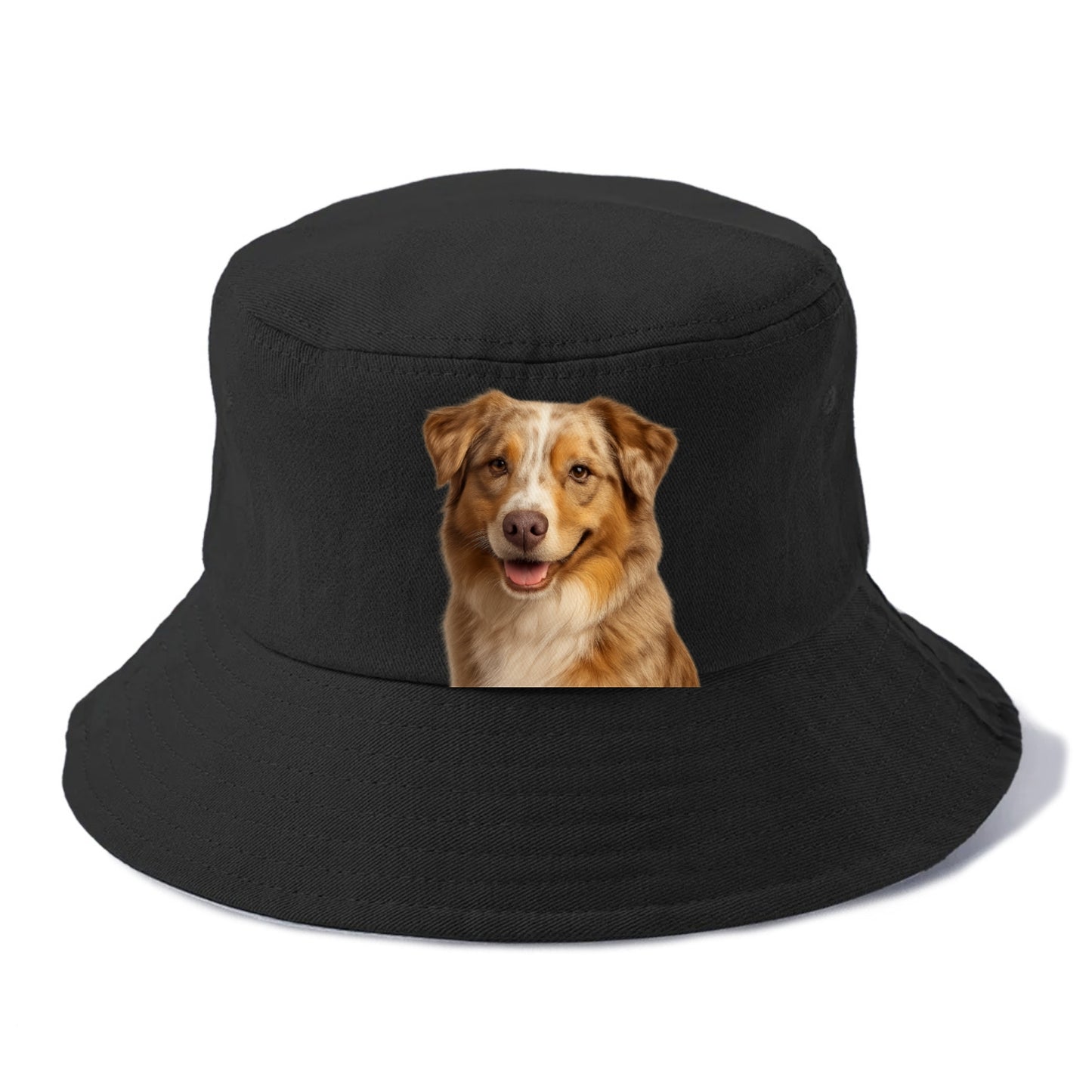 red merle australian shepherd portrait design Hat