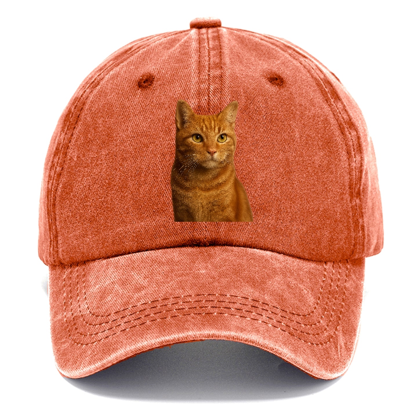 orange-tabby-cozy-companion Hat