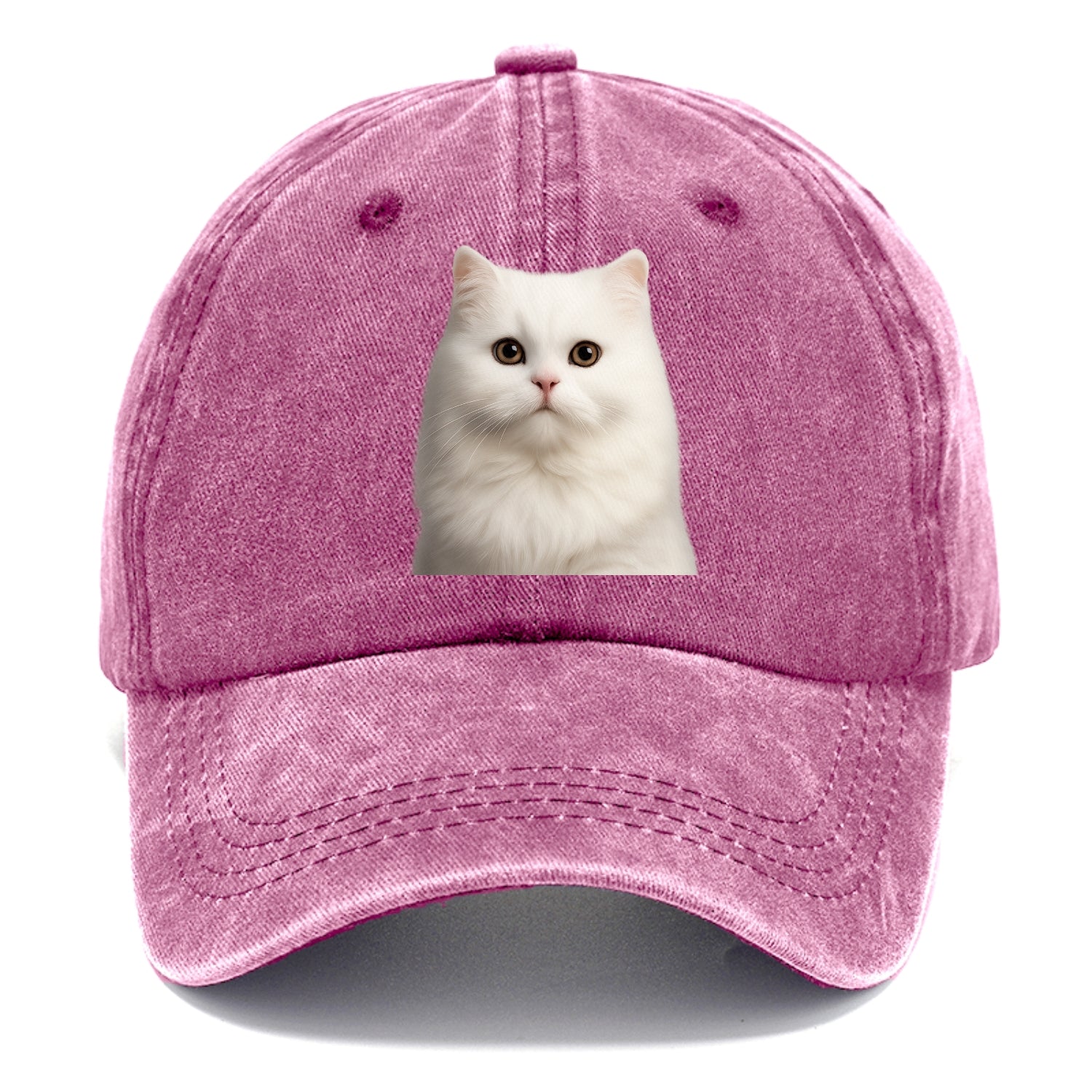 persian cat royal elegance Hat