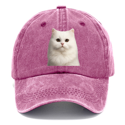 persian cat royal elegance Hat
