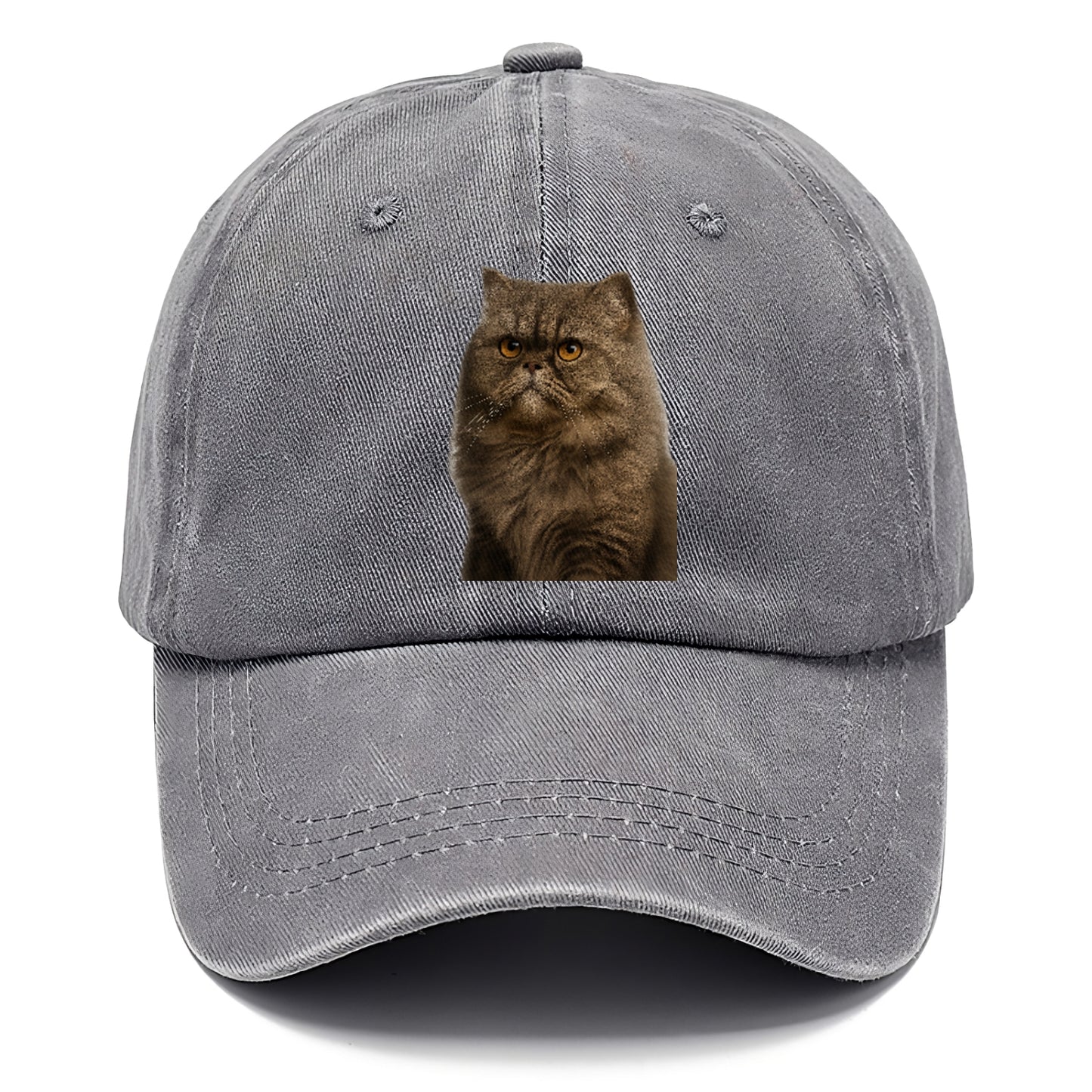 persian-cat-regal-elegance Hat