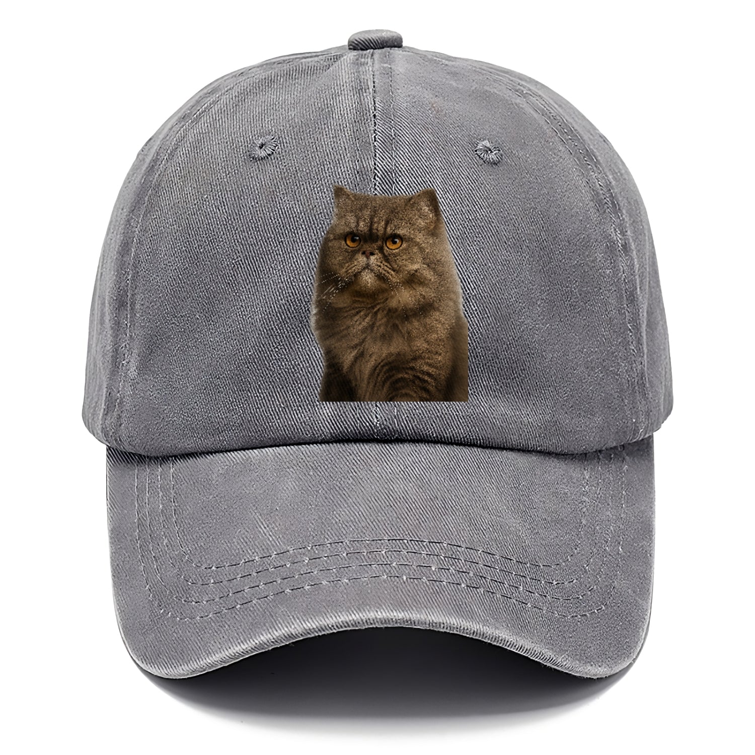 persian-cat-regal-elegance Hat