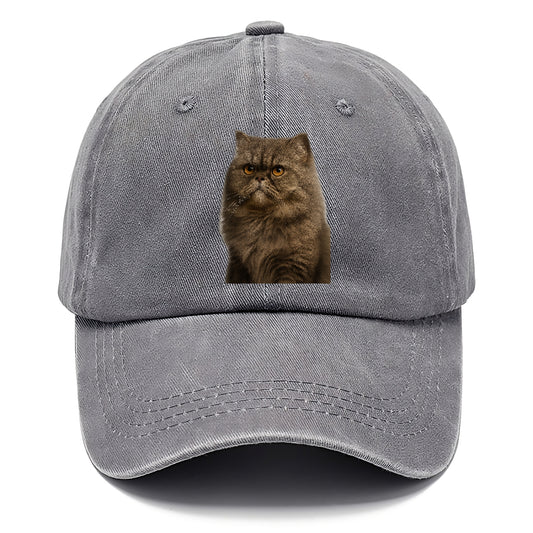 persian-cat-regal-elegance Hat