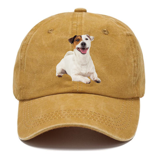 jack russell terrier dog Hat
