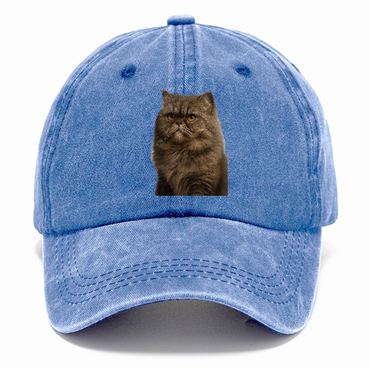 persian-cat-regal-elegance Hat