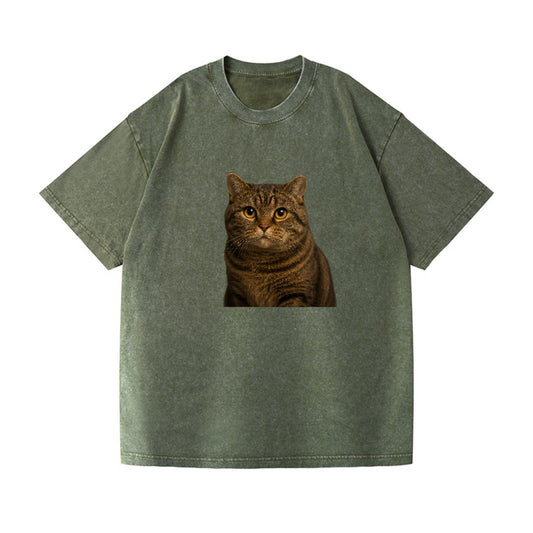 manx-cat-distinct-charm Hat