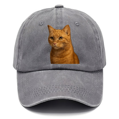 ginger-cat-playful-spirit Hat