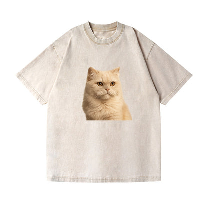 cream-persian-fluffy-elegance Hat