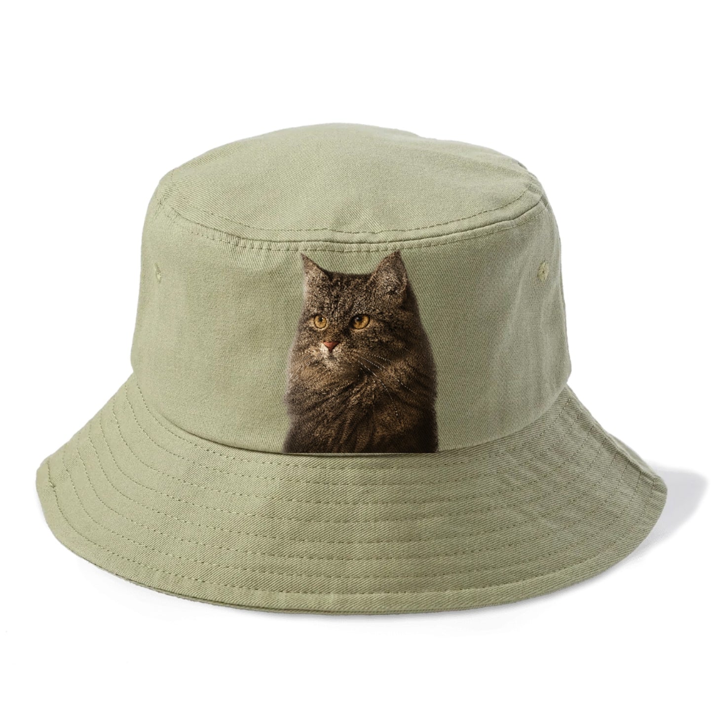 domestic-longhair-graceful-charm Hat