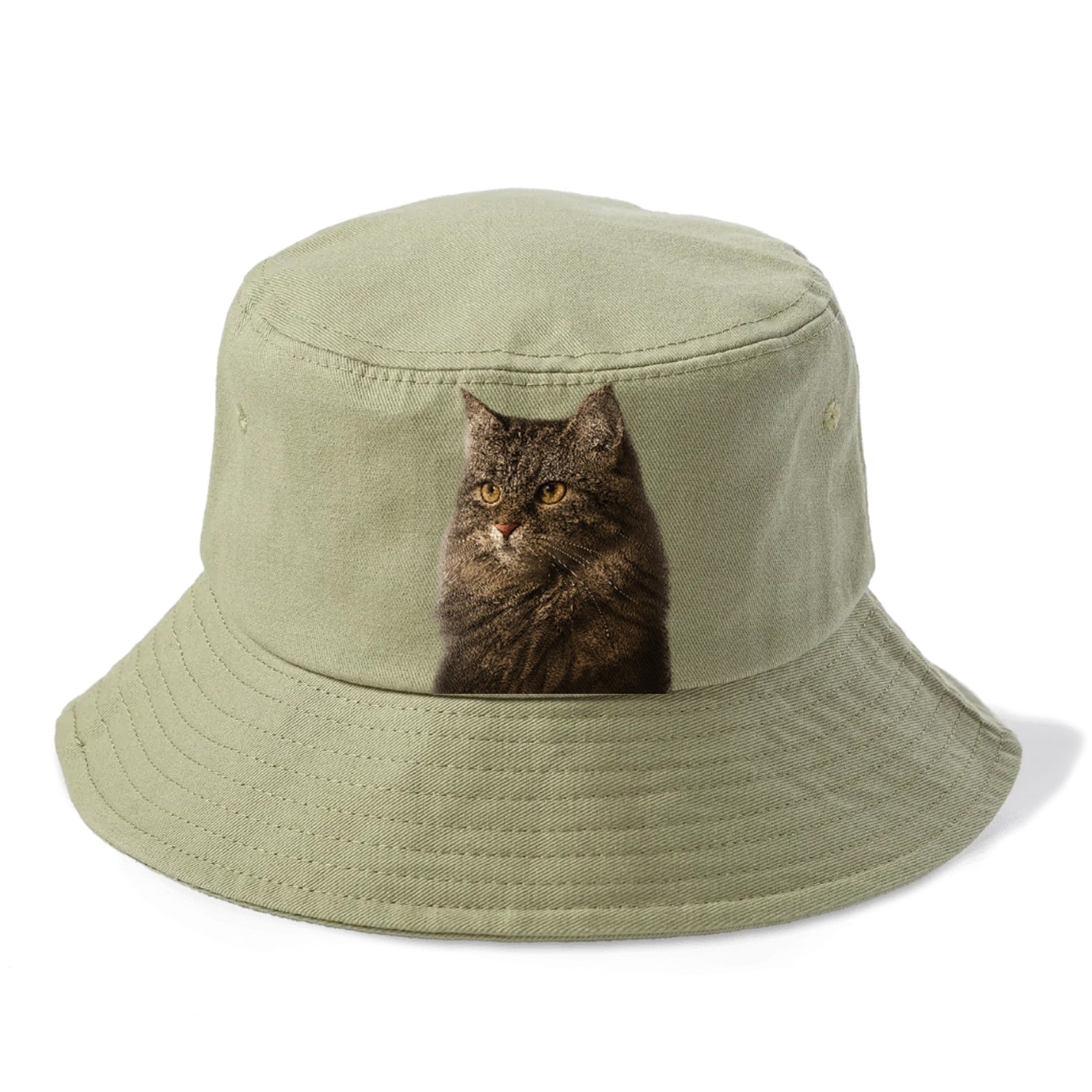 domestic-longhair-graceful-charm Hat