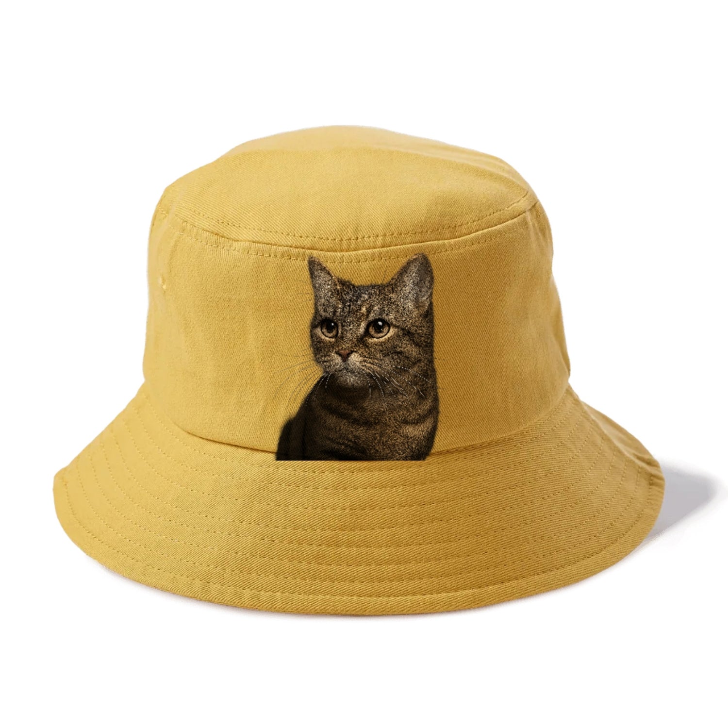 munchkin-cat-charming-spirit Hat