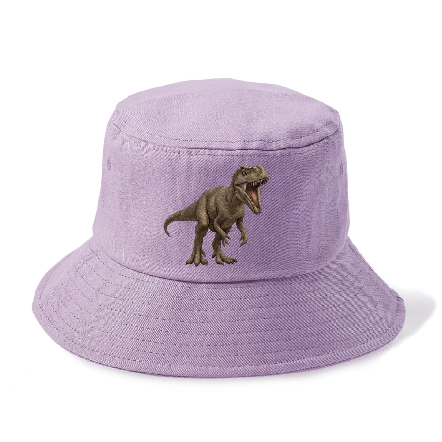 dinosaur t rex Hat