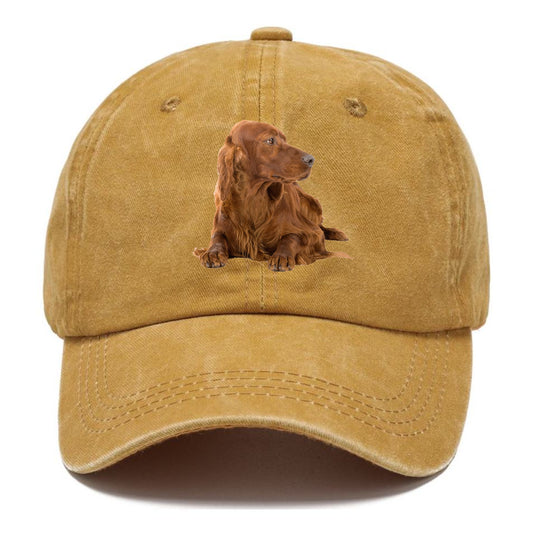 Irish Setter Hat