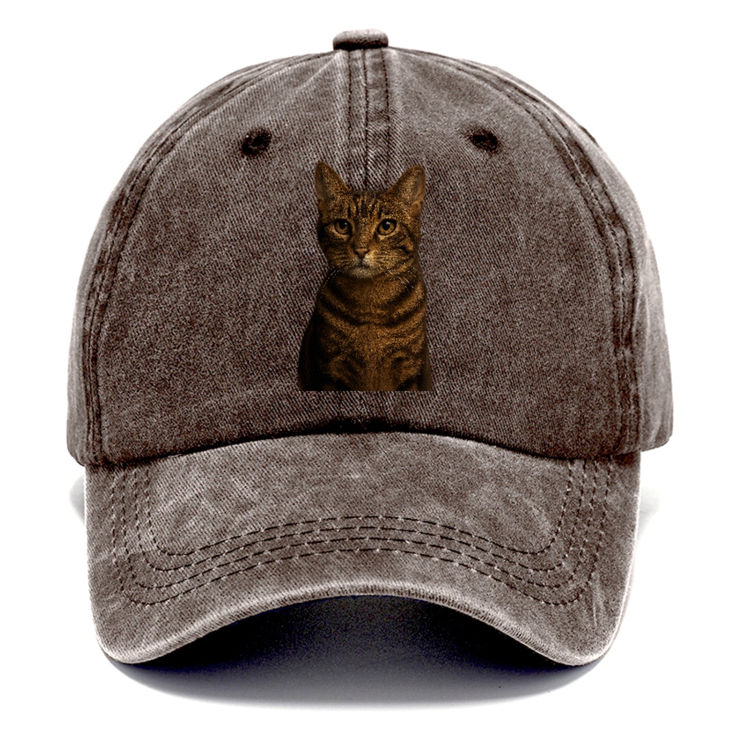 brown-tabby-playful-spirit Hat