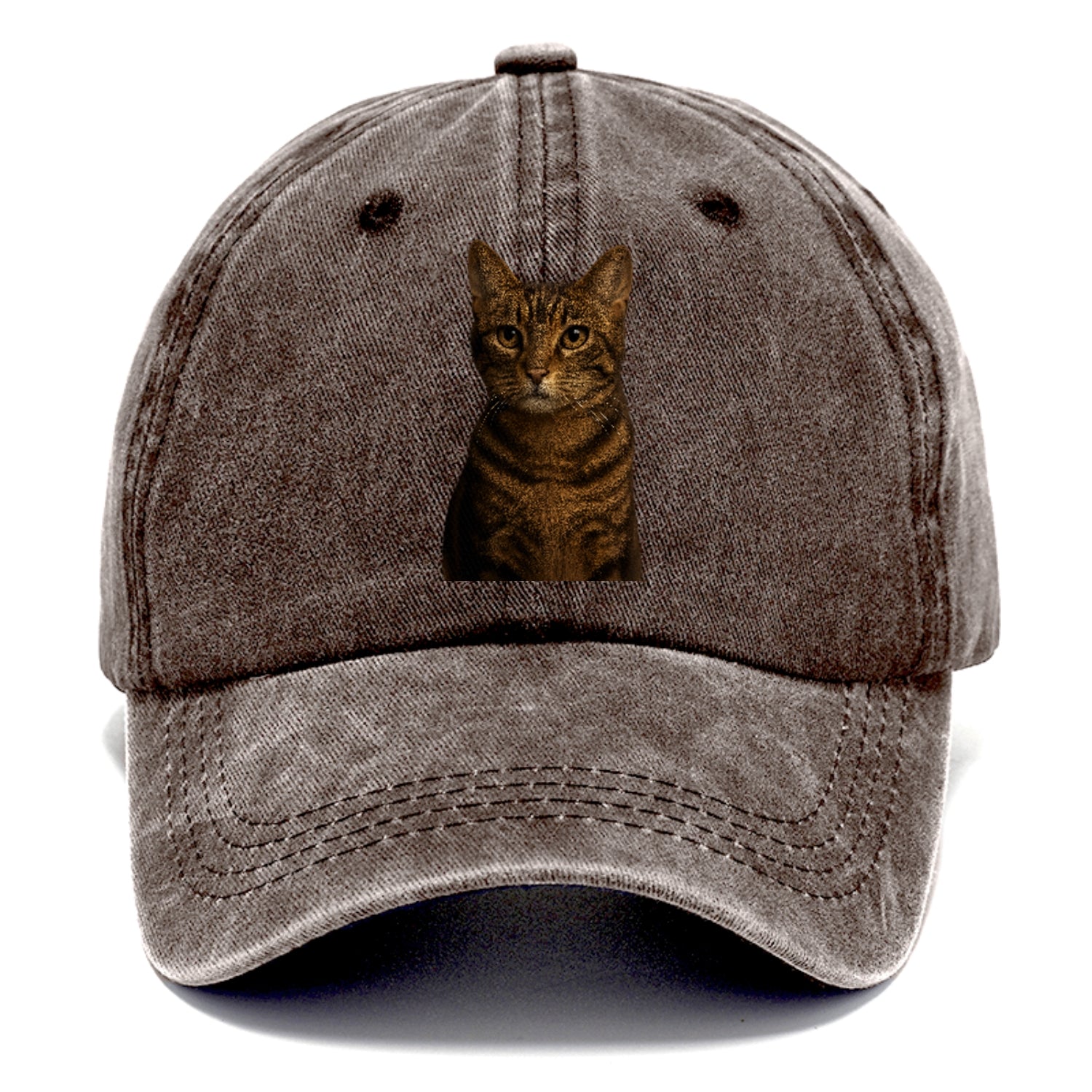 brown-tabby-playful-spirit Hat