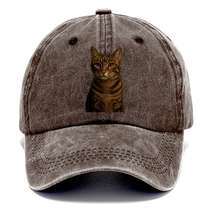 brown-tabby-playful-spirit Hat