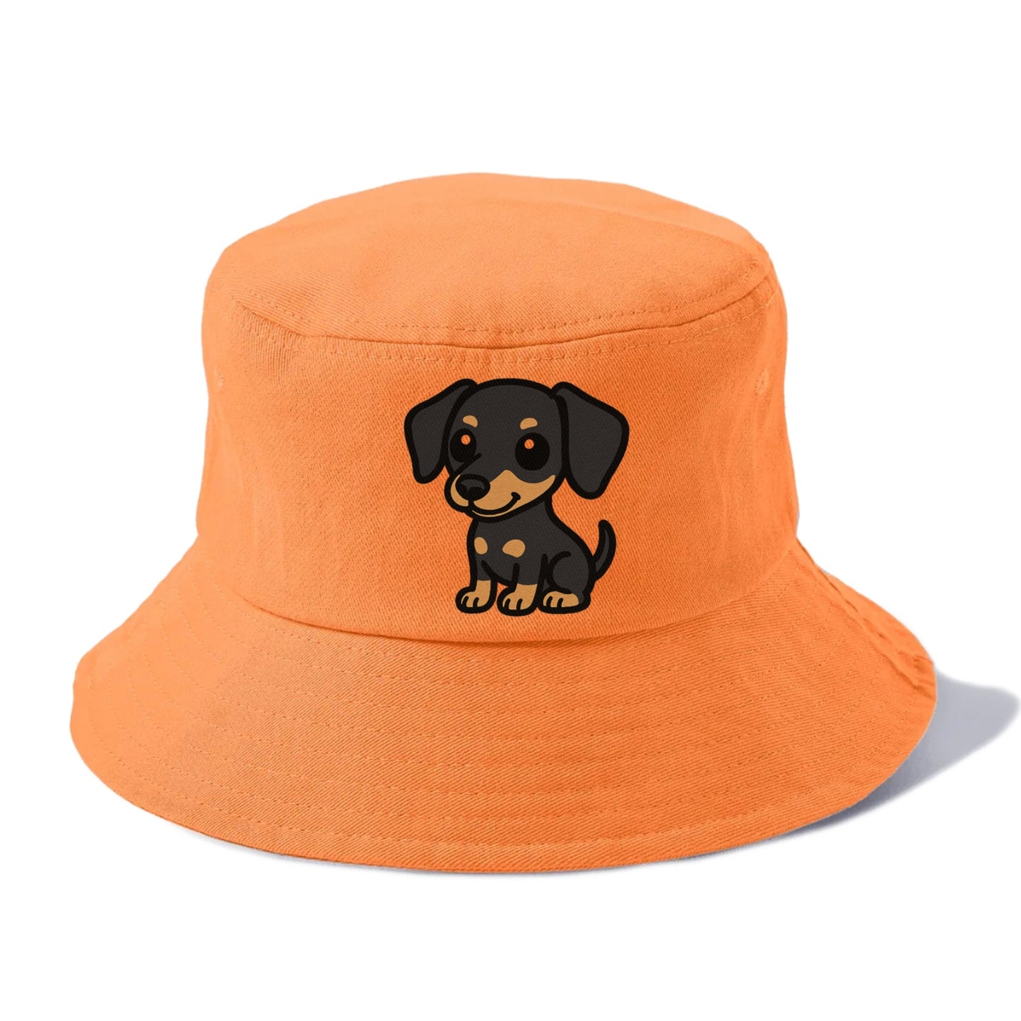 miniature pinscher black and tan sitting pose portrait design Hat